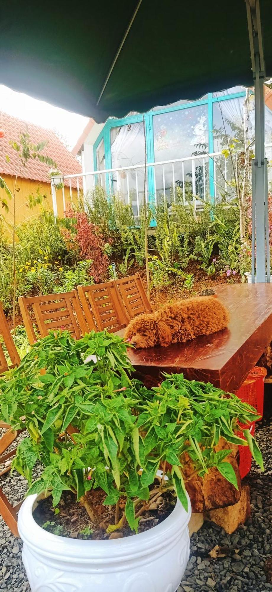 Paradiso Homestay Mangden Kon Von Kla Bagian luar foto